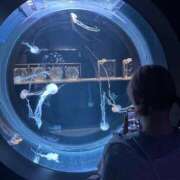 ヒメ日記 2025/08/15 01:21 投稿 ももか プロフィール 岡山店