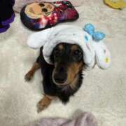 ヒメ日記 2025/10/24 22:18 投稿 めい【ドＭ降臨しました！】 ソープランド看護学院ディエックス