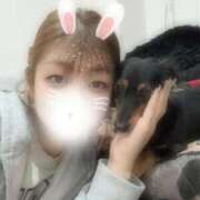 めい【ドＭ降臨しました！】 出勤してるよん ソープランド看護学院ディエックス