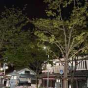 ヒメ日記 2026/04/18 16:47 投稿 さくや 恋する人妻