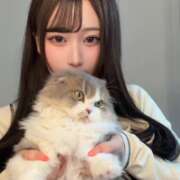 ヒメ日記 2026/04/25 02:39 投稿 てんま 君を舐めたくて学園