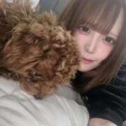 なつめ 3️⃣9️⃣❣️❣️❣️ 君を舐めたくて学園