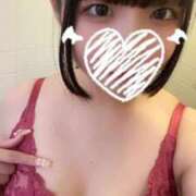 ヒメ日記 2025/08/14 00:25 投稿 にゃー 君を舐めたくて学園