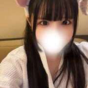 ヒメ日記 2025/10/21 17:01 投稿 にゃー 君を舐めたくて学園