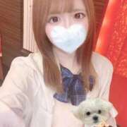 ヒメ日記 2025/11/29 12:20 投稿 ねる 君を舐めたくて学園