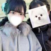 ヒメ日記 2026/01/03 13:30 投稿 ねる 君を舐めたくて学園