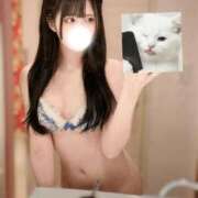 ヒメ日記 2026/02/24 17:30 投稿 ねる 君を舐めたくて学園