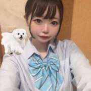 ヒメ日記 2025/08/13 14:20 投稿 ゆめな 君を舐めたくて学園