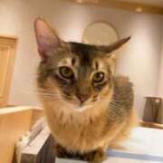 ヒメ日記 2025/09/23 19:29 投稿 ちはる STAR-スター-