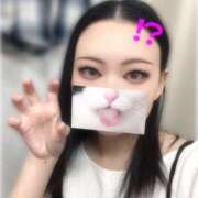 ヒメ日記 2025/11/19 07:32 投稿 ちはる STAR-スター-