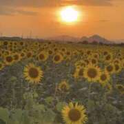 ヒメ日記 2025/08/19 16:15 投稿 さき りんくう泉佐野ちゃんこ