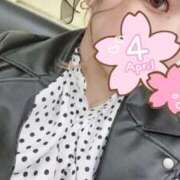 ヒメ日記 2025/08/20 14:02 投稿 さき りんくう泉佐野ちゃんこ