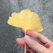 ヒメ日記 2025/11/18 18:04 投稿 りの 上野回春性感マッサージ倶楽部