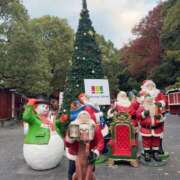 ヒメ日記 2025/12/01 21:41 投稿 りの 上野回春性感マッサージ倶楽部