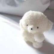 ヒメ日記 2025/09/04 10:36 投稿 かの THE ESUTE HOUSE 柴田