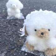 ヒメ日記 2025/09/05 14:56 投稿 かの THE ESUTE HOUSE 柴田