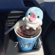 ヒメ日記 2025/09/25 17:36 投稿 かの THE ESUTE HOUSE 柴田