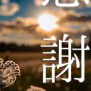 ヒメ日記 2026/01/29 16:30 投稿 音羽(おとは) 初脱ぎマダム