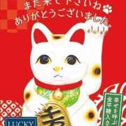 ヒメ日記 2026/02/22 00:04 投稿 音羽(おとは) 初脱ぎマダム