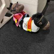 ヒメ日記 2025/11/04 00:04 投稿 きあら チューリップ福井本館