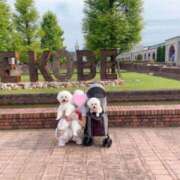 ヒメ日記 2025/09/06 08:01 投稿 生きるー国宝ー GOOD-グッド-