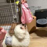 ヒメ日記 2025/09/07 14:59 投稿 生きるー国宝ー GOOD-グッド-