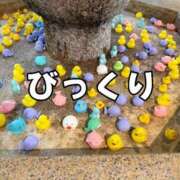 ヒメ日記 2025/09/27 17:16 投稿 生きるー国宝ー GOOD-グッド-