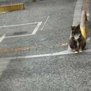 ヒメ日記 2025/09/29 23:34 投稿 生きるー国宝ー GOOD-グッド-