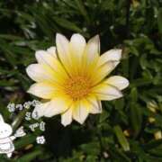 ヒメ日記 2025/08/31 20:48 投稿 ののか 奥さまさくら京橋店