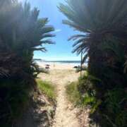 ヒメ日記 2025/10/04 20:42 投稿 らん 君とふわふわプリンセスin熊谷