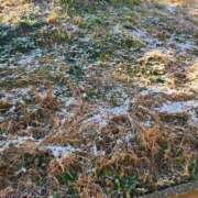 ヒメ日記 2026/01/03 08:07 投稿 るな 丸妻 池袋店