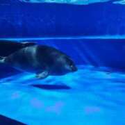 ヒメ日記 2026/01/25 09:42 投稿 るな 丸妻 池袋店