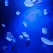 ヒメ日記 2026/01/26 08:10 投稿 るな 丸妻 池袋店