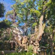 ヒメ日記 2026/02/28 18:34 投稿 るな 丸妻 池袋店