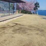 ヒメ日記 2026/03/01 16:14 投稿 るな 丸妻 池袋店