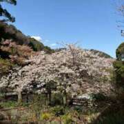 ヒメ日記 2026/03/02 11:11 投稿 るな 丸妻 池袋店