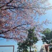 ヒメ日記 2026/03/10 23:43 投稿 るな 丸妻 池袋店