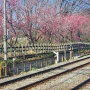 ヒメ日記 2026/03/27 08:06 投稿 るな 丸妻 池袋店