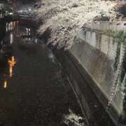 ヒメ日記 2026/04/01 10:43 投稿 るな 丸妻 池袋店