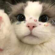 ヒメ日記 2025/09/05 15:48 投稿 愛沢なお BaliSpa