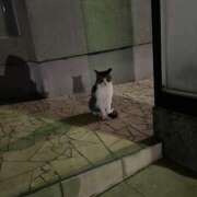 ヒメ日記 2025/09/08 12:06 投稿 愛沢なお BaliSpa