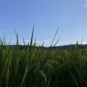 ヒメ日記 2025/08/21 21:50 投稿 なの One More奥様　厚木店