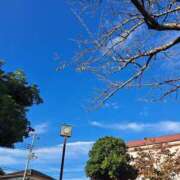 ヒメ日記 2025/11/02 22:07 投稿 なの One More奥様　厚木店