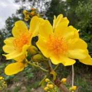 ヒメ日記 2025/08/20 00:18 投稿 みほり 熟女の風俗最終章 沼津店