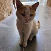 ヒメ日記 2025/08/26 22:58 投稿 みほり 熟女の風俗最終章 沼津店