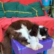 みほり タバコ吸ってますか？ 熟女の風俗最終章 沼津店