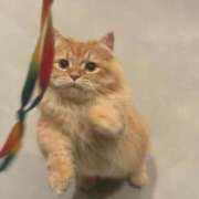 ヒメ日記 2025/10/05 20:00 投稿 もえ【性感】 性感エステBianca豊中店