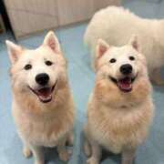 ヒメ日記 2025/10/13 20:00 投稿 もえ【性感】 性感エステBianca豊中店