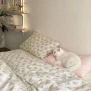 ヒメ日記 2025/11/02 12:00 投稿 もえ【性感】 性感エステBianca豊中店