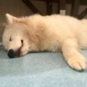 ヒメ日記 2025/11/04 20:00 投稿 もえ【性感】 性感エステBianca豊中店